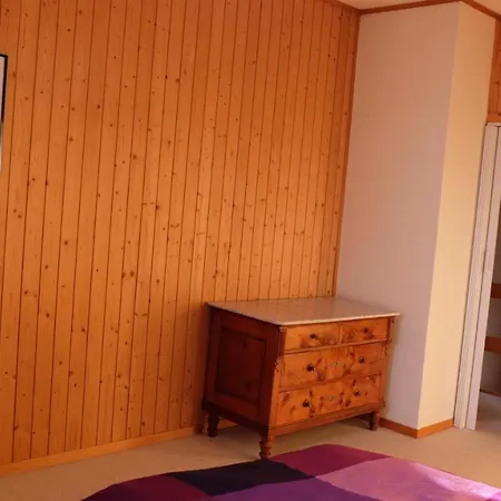 Boner Apartament *